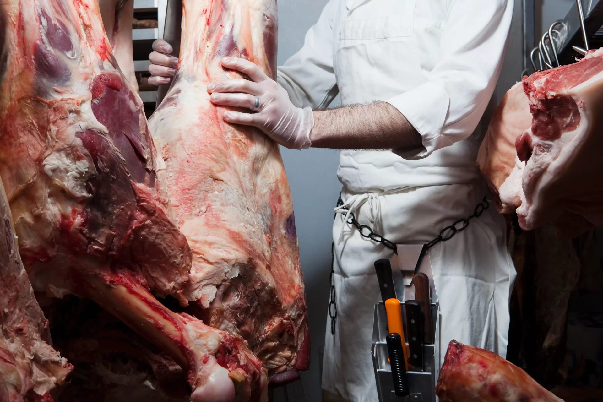 Slaughterhouse supplying Meatbid